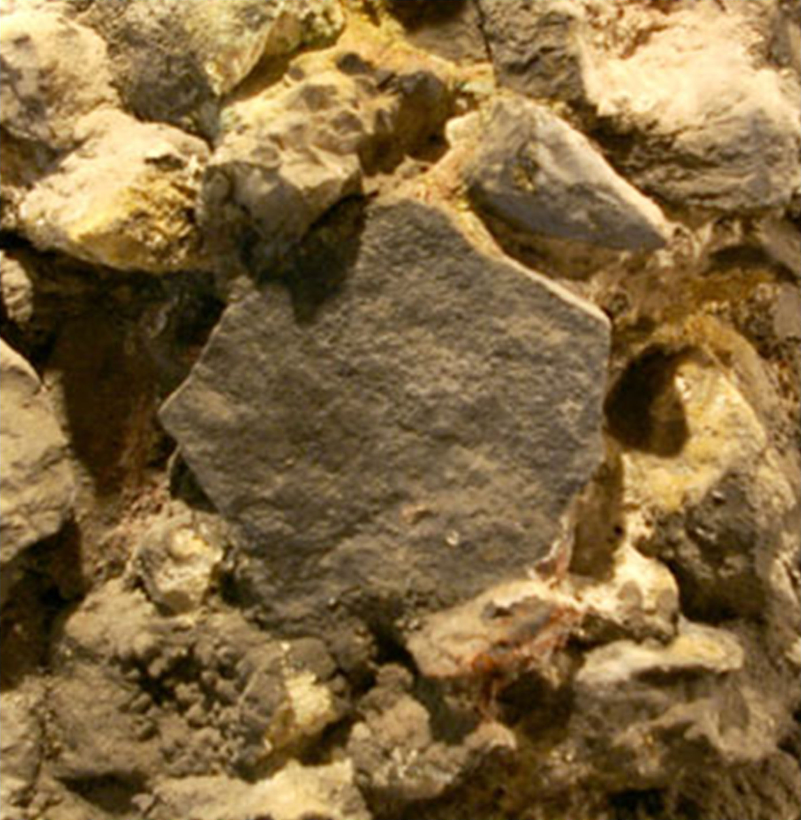 One of the pieces of basalt from the Giant's Causeway